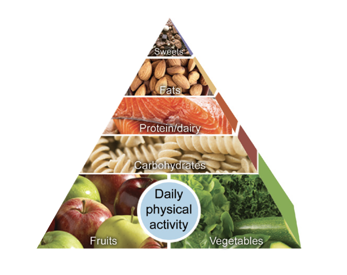 FoodPyramid.png