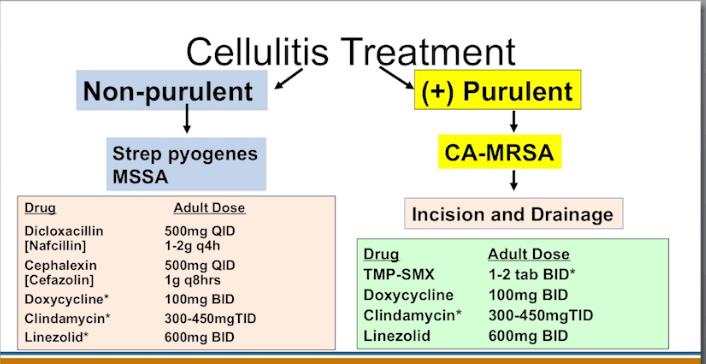 Screen Shot 2018-10-02 at 8.31.57 AM.png