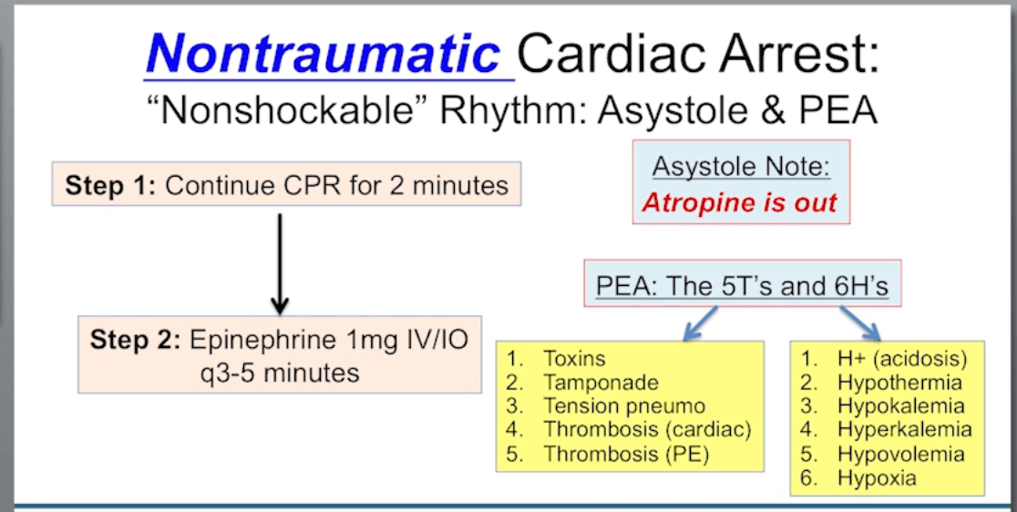 Screen Shot 2018-10-03 at 8.24.54 AM.png