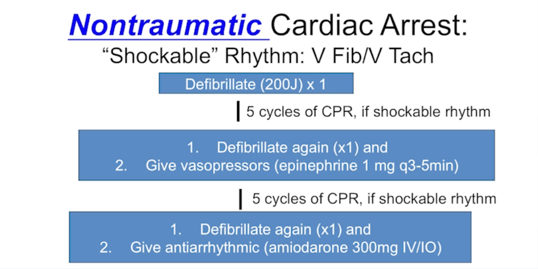 Screen Shot 2018-10-03 at 8.26.27 AM.png