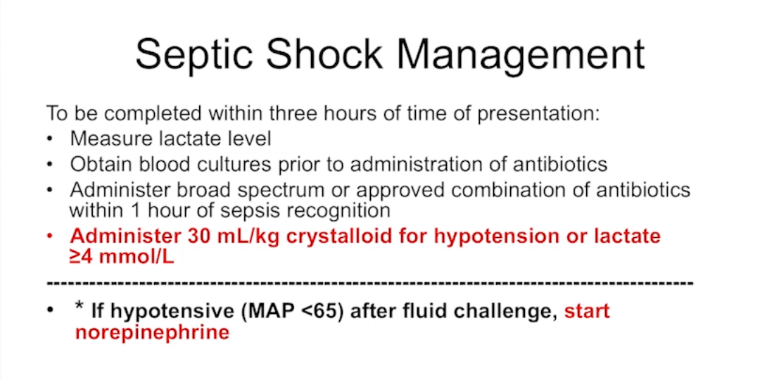 Screen Shot 2018-10-03 at 8.34.26 AM.png