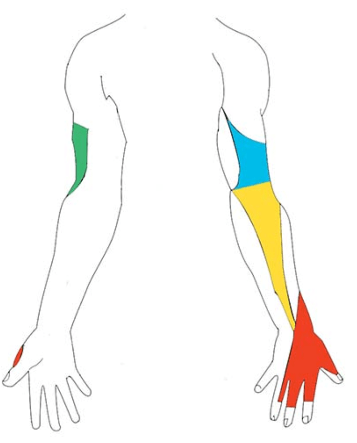 Screen Shot 2018-10-03 at 9.06.32 AM.png