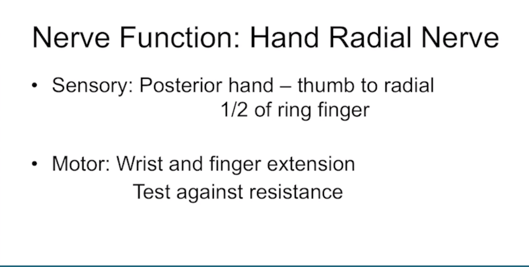 Screen Shot 2018-10-03 at 9.06.50 AM.png