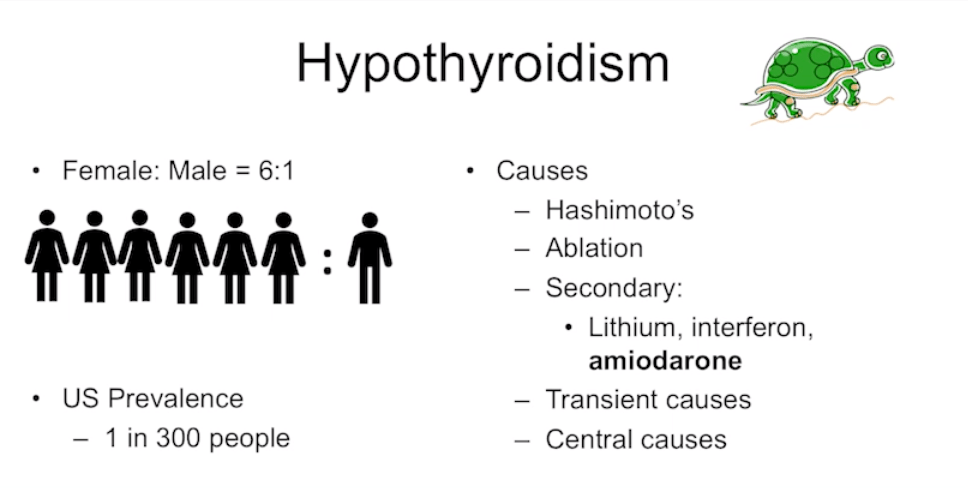 Screen Shot 2018-10-05 at 8.21.31 AM.png