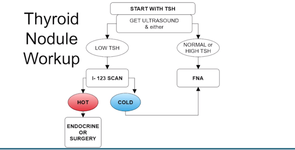 Screen Shot 2018-10-05 at 8.37.00 AM.png