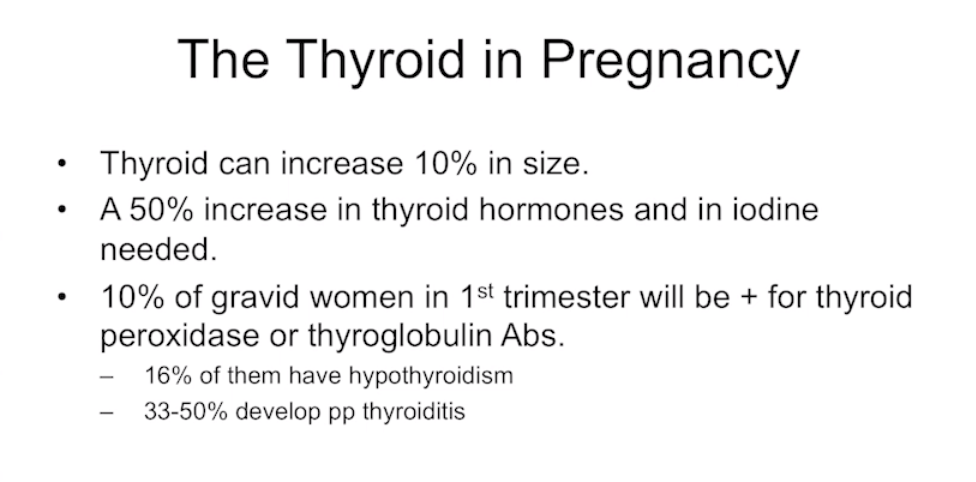 Screen Shot 2018-10-05 at 8.39.09 AM.png