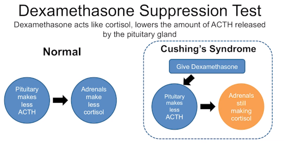 Screen Shot 2018-10-05 at 8.49.27 AM.png